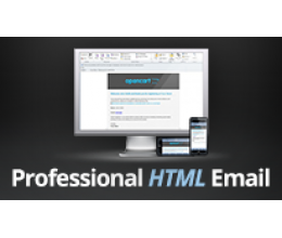 Professional Email Template